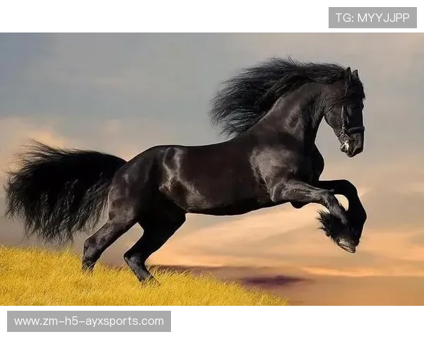 逆袭“黑马王”实现欧洲逆转奇迹，黑马逆袭是什么意思